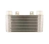 Per Ranger 2 5 Diesel TD Turbo Intercooler 1998 1999 2000 2001 2002 2003 2004 2005 Di Raffreddamento Del Motore Intercooler Nucleo intercooler turbo