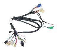 Per Reale Enfield Electra Principale Cablaggio Bardatura SX Elettrico Inizio