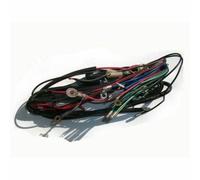 Per Reale Enfield Pallottola Bnb 6 Volt Completo Cablaggio Bardatura Aes