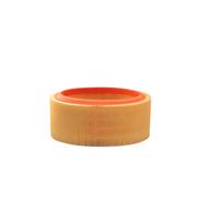 Filtron Filtro aria AR131 per Renault Clio I, Megane I