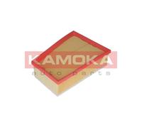Kamoka Filtro aria ricircolo F234101 per Renault, Nissan, VW, Opel, Audi, Dodge