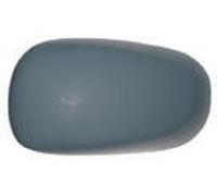 Calotta Retrovisore Sinistro Con Primer RENAULT MODUS 2004/2007 SX 7701060076