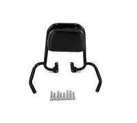 Per Royal Alloy TG300s TG250 TG150 TG125 Motocicletta Schienale Sedile Passeggero Posteriore Protezione Schienale Schienali Per Moto(Black)