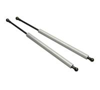 Per S2000 AP1 AP2 1999-2009 Auto Cofano Anteriore Molle A Gas Prop Asta Braccia Ammortizzatori Hood Struts In Fibra Di Carbonio(Carbon Fiber Silver)