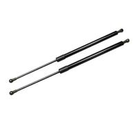 Per S2000 AP1 AP2 1999-2009 Auto Cofano Anteriore Molle A Gas Prop Asta Braccia Ammortizzatori Hood Struts In Fibra Di Carbonio(Ordinary Black)