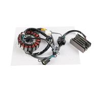 Per Suzuki Per DR-Z 400 DRZ400 DRZ400E DRZ400S DRZ400SM 2000-2024 Guarnizione Raddrizzatore Regolatore Statore Moto 1 Set Statore Magnete Bobina