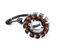 Per Suzuki Per Gixxer SF Moto Accessori Cablaggio Adatto 12 Poli Moto Generatore Statore Bobina Comp Stator Bobina