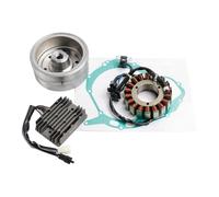 Per Suzuki Per V-strom Per Vstrom DL1000 2004-2009 2010 2011 2012 119mm Statore Volano Rotore Regolatore Guarnizione 1set Statore Magnete Bobina