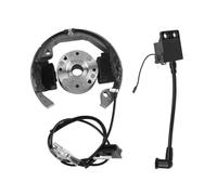 Per SX 50 50cc Motocicletta Bobina Di Accensione A Rotore Interno 2001-2013 Pacchetto Accessori Bobina accensione moto