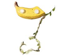 per terrario per - Scatola magnetica con design di frutta, per habitat dei fritti - per drago, barbuto, Halloween e tartaruga dei pamp