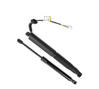 Per Tesla Per Il Modello 3 155148898B Supporto Di Sollevamento Elettrico Potenza Portellone Hatch Apri Ammortizzatore Puntone Molla a Gas Struts Ammortizzatori(Giusto)