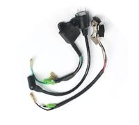 Per TIGER Per Generatore 2 Tempi Accensione Bobina Magnetica Accenditore | Statore Magnete Bobina 3 pezzi / lotto per IE45 ET650 ET950 TG950 650W 800W 1000W 450W 950W Stator Magneto