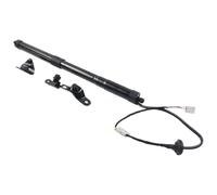 Per Toyota Per Rav4 2013-2018 6891009010 6892009016 Supporto Sollevamento Portellone Posteriore Elettrico, Ammortizzatori A Gas Molle Gas Portellone Posteriore(L)