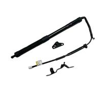 Per Toyota Per Rav4 2014-2018 68920-09010 68910-0r051 Supporto Elettrico Per Portellone Posteriore Auto Adatto Molle Gas Portellone Posteriore(68920-09010 L)