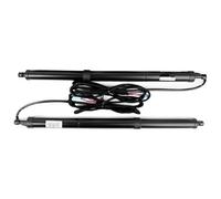 Per Toyota RAV4 2014-2022 Portellone Elettrico Intelligente Supporto Ventosa Ammortizzatori Ammortizzatore Gas(2014 year)