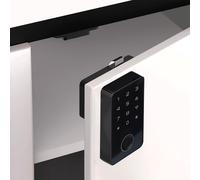 Per Tuya Smart Keyless Lock Funzioni di Sicurezza Avanzate per Varie Applicazion