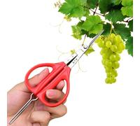 per Uva 2-In-1 Pinze da Frutta a Forbice | Tagliauva e Pinza Ergonomici per Uso in Giardino, Cucina, Terrazzo, Azienda Agricola, Prato, Paesaggio, Frutteto