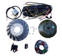 Per Vespa 6V A 12 Volano E Statore Kit di Conversione + Cavi Vbb Super Sprint