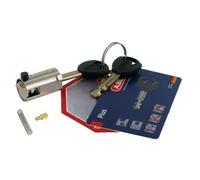 Per Victoria Eurban 3.9, Originale Bici Elettrica Akkuschloss