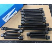 Per VW VR6 Amy Afp Aes Victor Reinz Testa Bulloni 14-32174-02