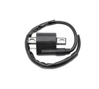 Per WR250 WR250F WR400 WR400F TT250 TT225 TTR250 TW200 XT350 XVS650 Per V-Star YZ250 YZ250F YZ400 Bobina Accensione Motocicletta Bobina Di Accensione