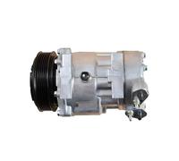 Per Xsara Per Picasso SD7V16 Per C5 Per C8 71793792 71792087 71789360 9659232180 9672865680 9683061880 6453.NK Compressore D'aria AC Per Auto Compressore aria condizionata