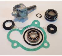 PER Yamaha Majesty 250 4T 2002 02 KIT REVISIONE POMPA ACQUA RICAMBI AA00806 MOT