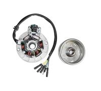 Per YINXIANG Per YX 150cc 160cc Pit Dirt Bike Motocross Kit Rotore Statore Magnete Con Accessori Di Ricambio Per Illuminazione Statore Magnete Bobina(Magneto Kit)