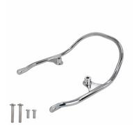 Per Z650RS 2021-2025 Maniglie Bracciolo Sedile Posteriore Accessori | Maniglia Per Passeggero(Argento)