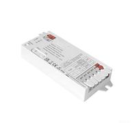 Per ZIGBEE 2.4G Compatibile 3 Filo 2 Filo LED Strip Controller 12A Max per Illuminazione Ambiente Regolabile
