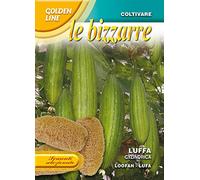 PERAGA Bustina Con Semi Di Luffa Cilindrica