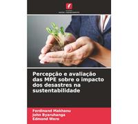 Percepção e avaliação das MPE sobre o impacto dos desastres na sustentabilidade