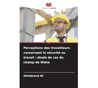 Perceptions des travailleurs concernant la sécurité au travail : étude de cas du champ de Waha