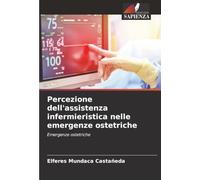 Percezione dell'assistenza infermieristica nelle emergenze ostetriche: Emergenze ostetriche