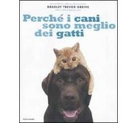 Perché i cani sono meglio dei gatti