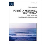 Perché la meccanica quantistica? Onde, materia e la concezione berkeliana