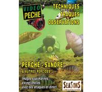 Perches, sandres et autres percidés Technique, traques, observation - Vidéo Pêche - Pêche des carnassiers