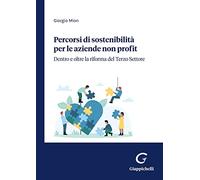 Percorsi di sostenibilità per le aziende non profit. Dentro e oltre la riforma del Terzo Settore