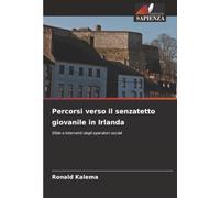 Percorsi verso il senzatetto giovanile in Irlanda: Sfide e interventi degli operatori sociali
