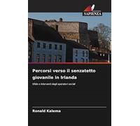 Percorsi verso il senzatetto giovanile in Irlanda: Sfide e interventi degli operatori sociali