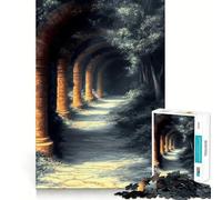Percorso ad arco in pietra Paesaggio giapponese Puzzle da 1000 pezzi per adolescenti Giocattolo cognitivo Divertimento lento Bordo premium Scegli il desiderio di Babbo Natale 50x75cm