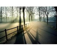 Percorso nel bosco - Set di puzzle per adulti da 2000 pezzi: classico e stimolante giocattolo per l'intrattenimento in famiglia (14 anni+)