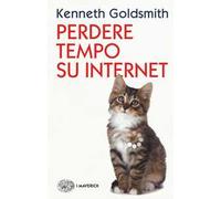 Perdere tempo su internet