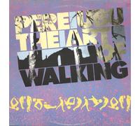 Pere Ubu - Art Of Walking