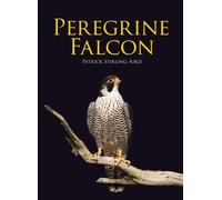 Peregrine Falcon by Patrick Stirling-Aird (2012-05-10)