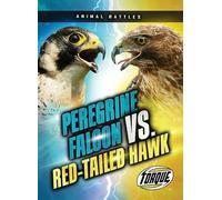 Peregrine Falcon vs. Red-Tailed Hawk