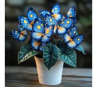 Perenni,resistenti,splendente e vivace,Facile da curare,Rizoma hosta,Vari Colori,bellissima.-4Hosta-C