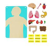 Perfeclan di gioco interattivi Insegnamento delle parti del corpo Pannello in feltro Parti del corpo di organi rimovibili Apprendimento Set di tabelloni in