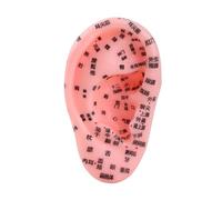 perfeclan Modello didattico per punti di agopuntura dell'orecchio umano, strumento didattico per esercitarsi con i punti di agopuntura, strumento per scuole