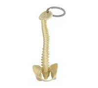 perfeclan Portachiavi con scheletro di colonna vertebrale umana, accessorio elegante in PVC da collezione, modello di colonna vertebrale umana in miniatura, Giallo Chiaro